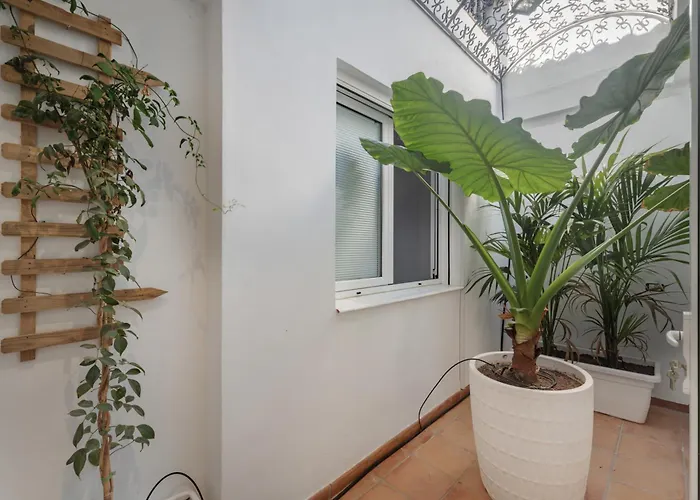 Spinnaker Playa Villa Puerto de Santiago (Tenerife)